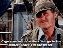 a man in a hat says cage goes in the water you go in the water sharks in the water