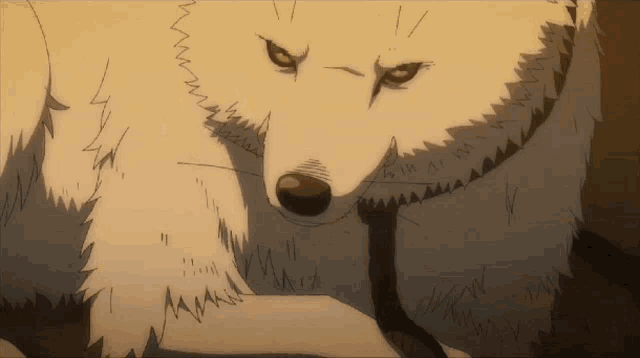 a cartoon drawing of a white wolf with a drawing of numbers on it