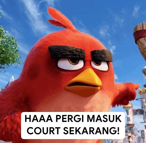 a red angry bird with the words haaa pergi masuk court sekarang below it