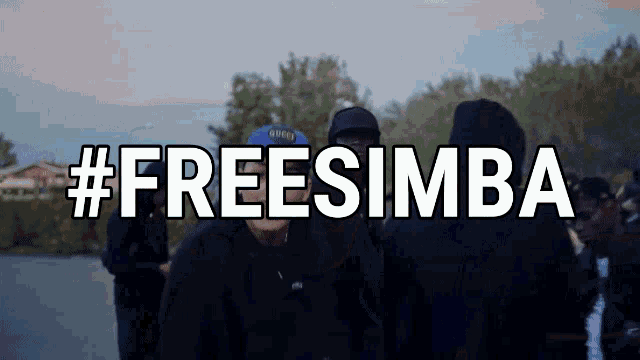 Freesimba Simbalarue GIF - Freesimba Simbalarue GIFs