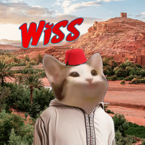 Wiss Wistar93 GIF