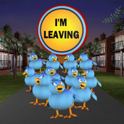 Im Leaving Bluebirds GIF