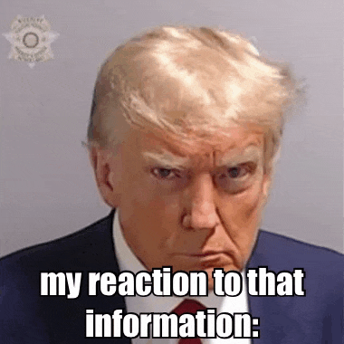 a picture of donald trump in a suit and tie with a caption that says `` my reaction to that information . ''