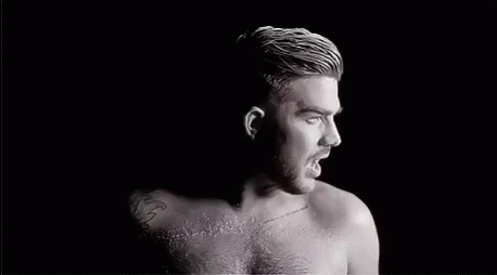 Adam Lambert GIF - Adam Lambert GIFs