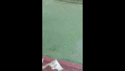a person standing next to a bag of chips on the ground
