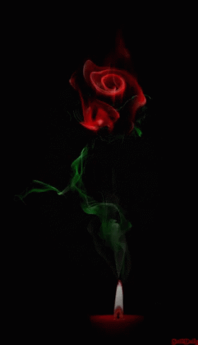 Flowers Rose GIF - Flowers Rose GIFs