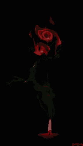 a red rose with smoke coming out of it