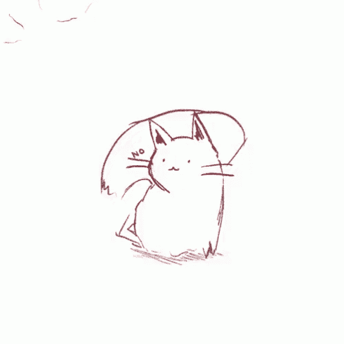 a drawing of a cat with the word no written below it