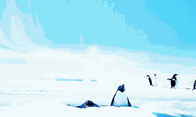 three penguins are standing in the snow with their wings outstretched