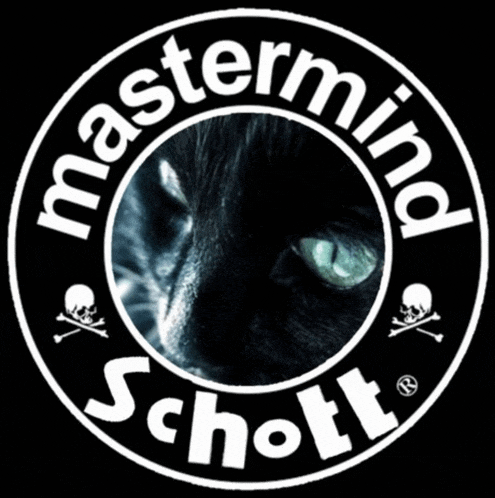 a mastermind schott logo with a totoro