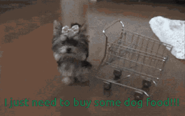 Shopping Push It GIF - Shopping Push It Dog GIFs