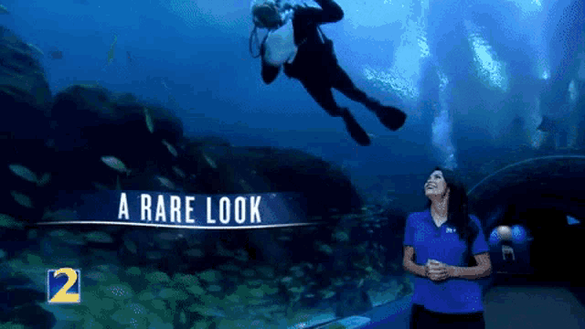 a woman in a blue shirt stands in front of an aquarium with a scuba diver in the background and the words a rare look