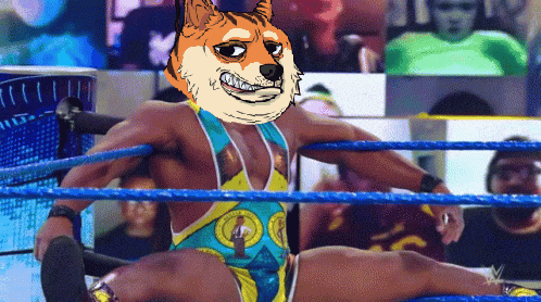 a man in a wrestling ring with a doge head