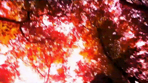 a tree with red leaves and white spots