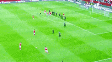 a soccer game is being played on a field with a banner that says liga nos