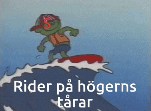 Sverigedemokraterna Socialdemokraterna GIF - Sverigedemokraterna Socialdemokraterna Muf GIFs