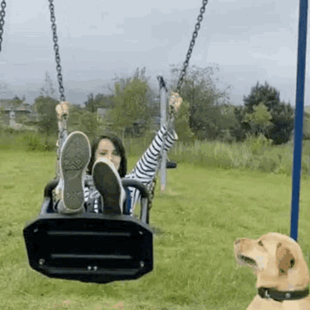 a woman is swinging on a swing in a park with a dog watching .