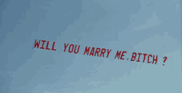 a sign in the sky that says " will you marry me bitch ? "