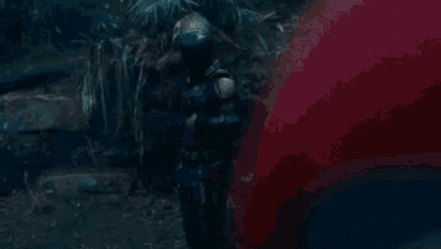 a man in a superhero costume is standing in the woods in front of trees .