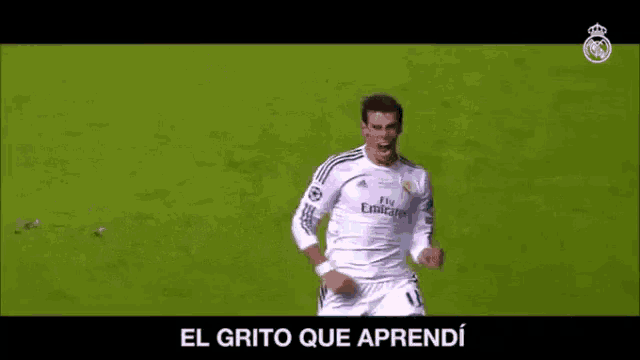 a soccer player wearing a fly emirates shirt is celebrating a goal .