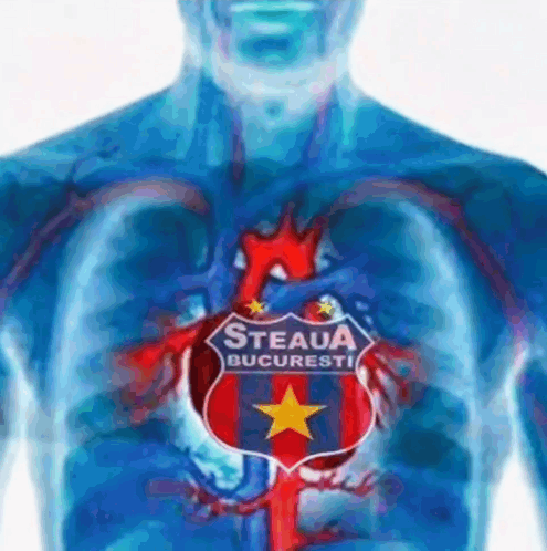 Fcsb Steaua GIF - Fcsb Steaua Steaua Bucuresti GIFs