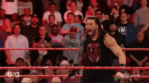 Roman Reigns Brock Lesnar GIF - Roman Reigns Brock Lesnar Mornings Be Like GIFs