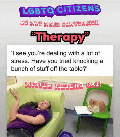 a poster that says ' lgbt to citizens do not need conversion therapy '