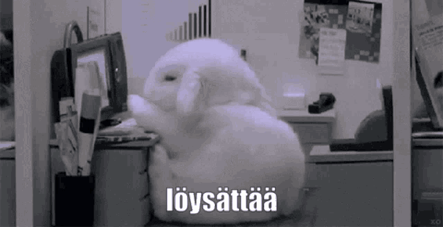 a small white rabbit is sitting in front of a computer with the word loysattaa written on the bottom