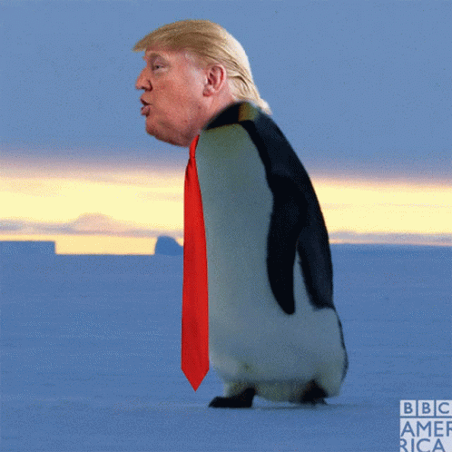 Trump Penguin Donald President Impeachment GIF - Trump Penguin Donald President Impeachment Djt GIFs