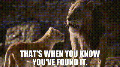 a lion and a lioness are standing next to each other in the wild .