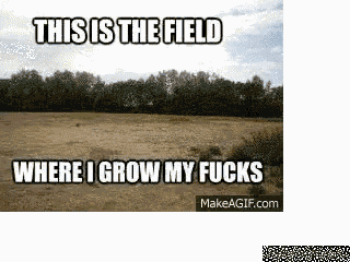 Destroy Field GIF - Destroy Field Fucks GIFs