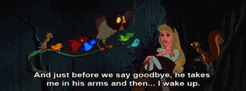 Princess Aurora Goodbye GIF - Princess Aurora Aurora Goodbye GIFs