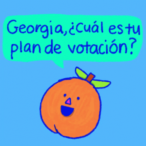 Georgia Plan To Vote Early GIF - Georgia Plan To Vote Early Plan To Vote GIFs
