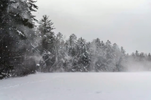 Cold And Windy GIF - Cold And Windy GIFs
