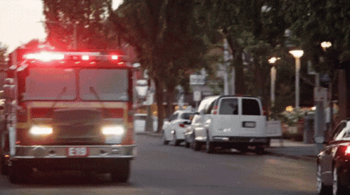 a fire truck with a license plate that says e319