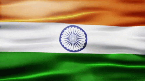 India Gif Flag GIF - India Gif Flag Africa GIFs