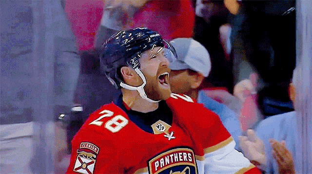a hockey player wearing a panthers jersey celebrates