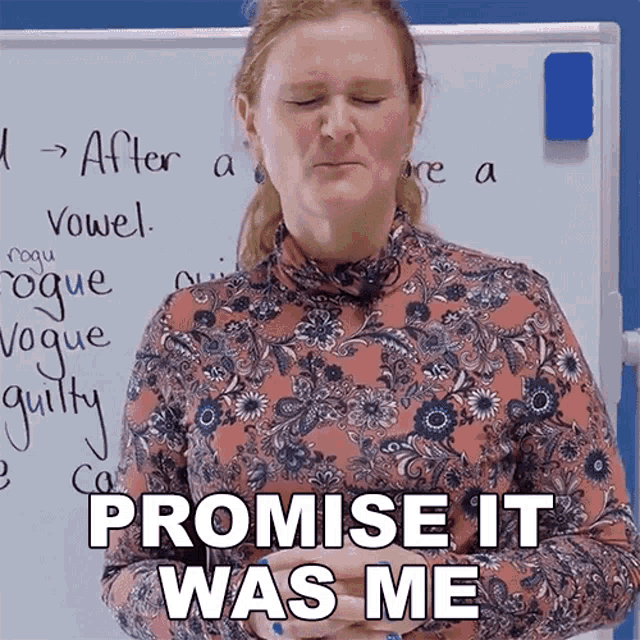 Promise It Was Me Ronnie GIF - Promise It Was Me Ronnie Engvid GIFs