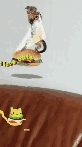 Hamburger Cats GIF - Hamburger Cats GIFs