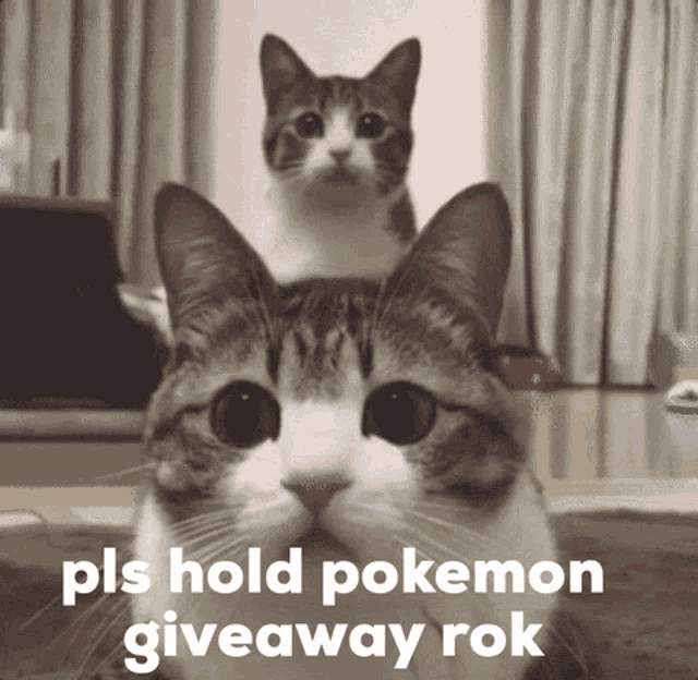 Please Hold Pokemon Giveaway Rok GIF - Please Hold Pokemon Giveaway Rok GIFs
