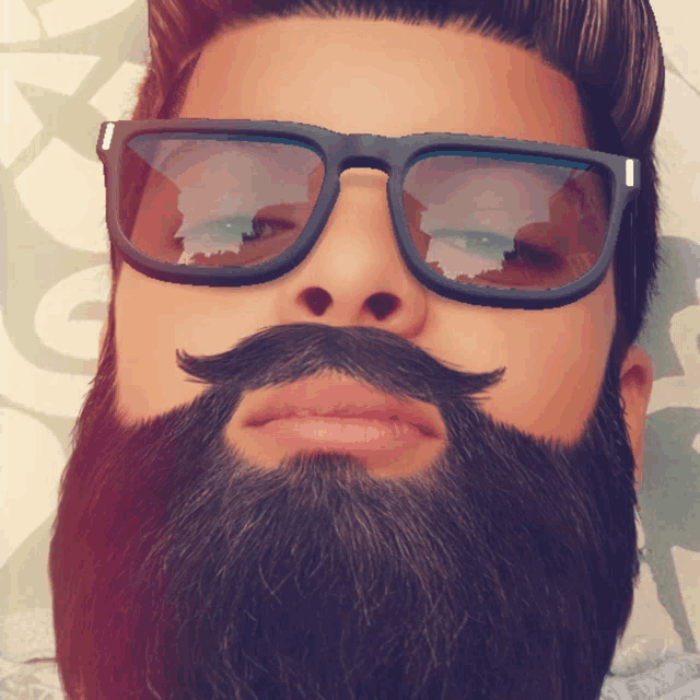 a man with a beard is wearing sunglasses and a mustache