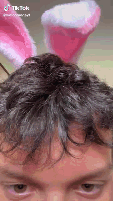 a man wearing pink and white bunny ears has a tiktok on his head