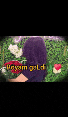 Röyamozel GIF