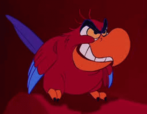 Iago Parrot Of Jafar GIF - Iago Parrot Of Jafar Dont Mess With Him GIFs