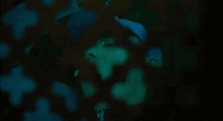 a blurry picture of a person 's face in a dark room with a blue light behind them