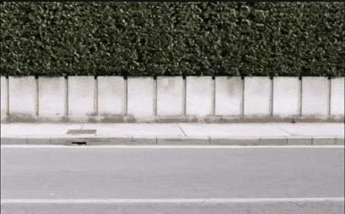 a concrete wall with a hedge behind it and a sidewalk