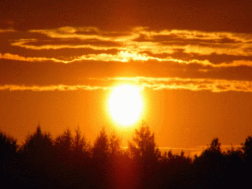 Forsen Xqc L Sunrise Sunset GIF - Forsen Xqc L Sunrise Sunset GIFs