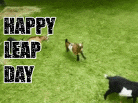 a happy leap day greeting card with a picture of a goat