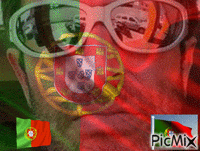 a man wearing sunglasses with a portuguese flag on his face