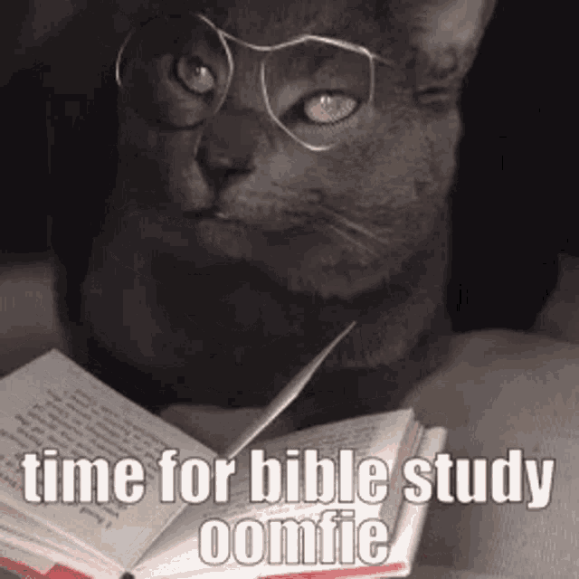 Time Time For Bible Study GIF - Time Time For Bible Study Bible Study GIFs